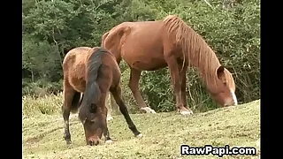 9331 anal sex porn videos